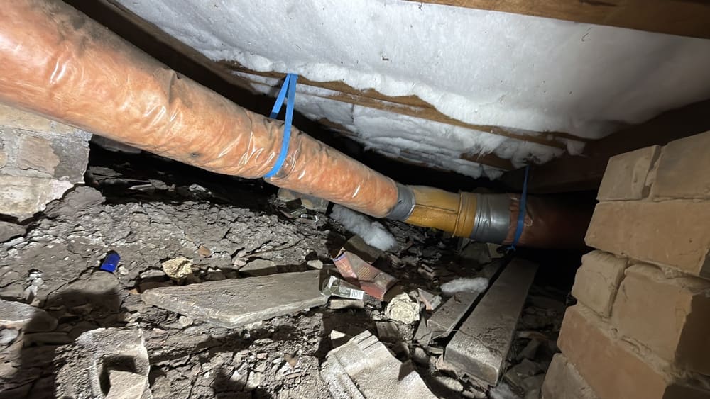 Timber debris, recorded during a building and pest inspection in Reservoir